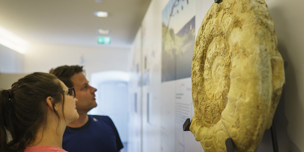 Zwei Personen betrachten ein großes Fossil an einer Museumswand.