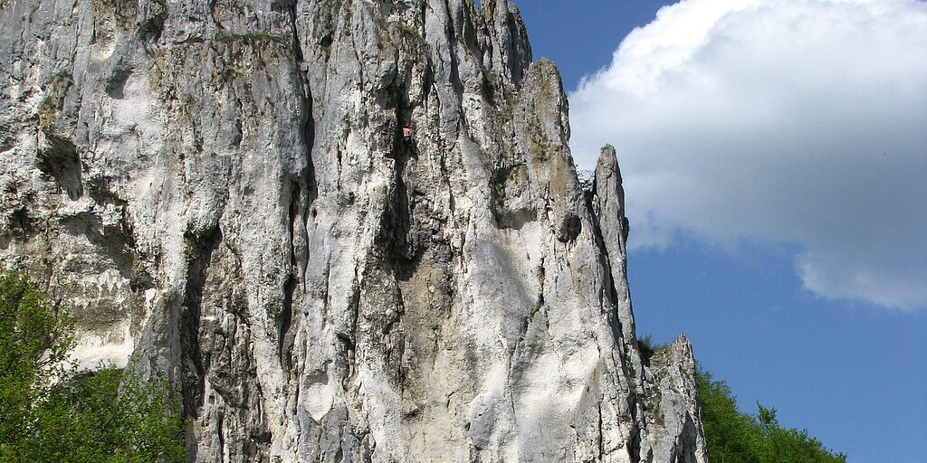 Felsformation mit steiler wei&szlig;-grauer Oberfl&auml;che, davor Wiese, B&auml;ume und Verkehrsschilder bei blauem Himmel.