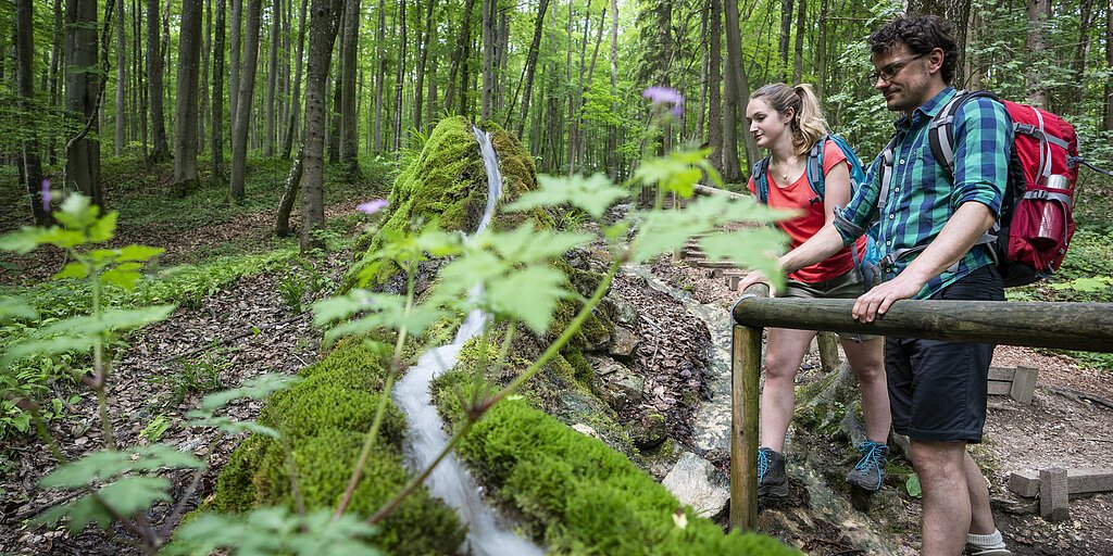 Zwei Wanderer mit Rucksäcken beobachten einen mit Moos bewachsenen Wasserlauf im Wald.