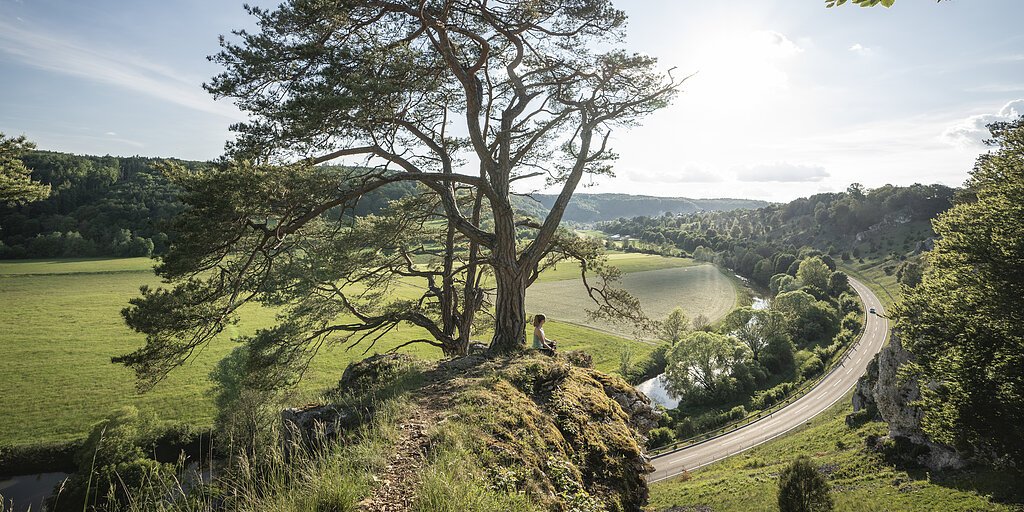 Frau sitzt unter großem Baum auf Felsen mit Blick auf Fluss, Straße und grüne Landschaft bei Sonnenschein.